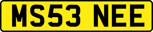 MS53NEE