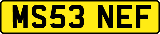 MS53NEF