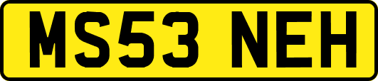 MS53NEH