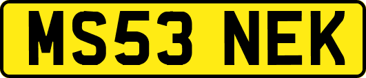 MS53NEK