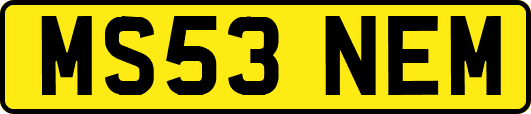 MS53NEM