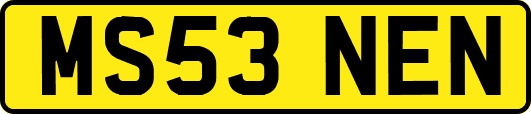 MS53NEN