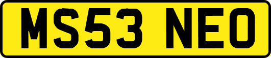 MS53NEO