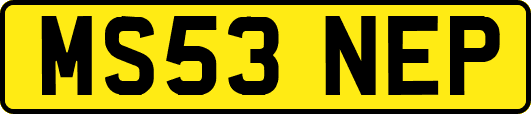 MS53NEP