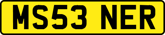 MS53NER