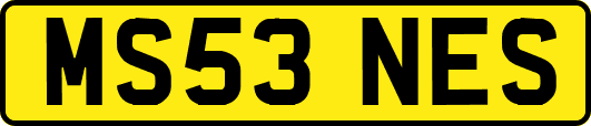 MS53NES