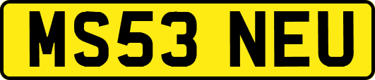 MS53NEU