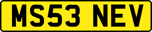 MS53NEV