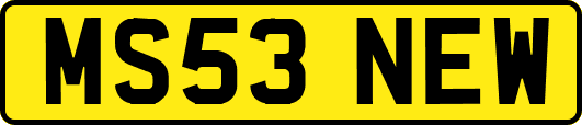 MS53NEW