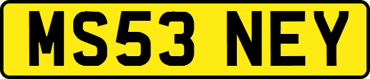 MS53NEY