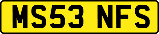MS53NFS