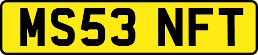 MS53NFT