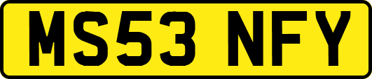 MS53NFY