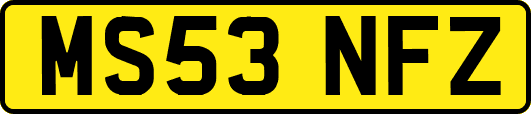 MS53NFZ