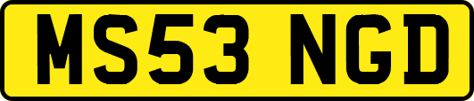MS53NGD