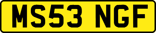 MS53NGF