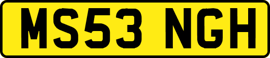 MS53NGH