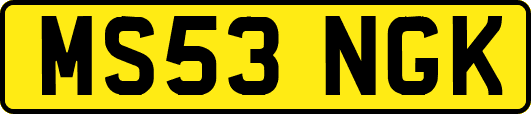 MS53NGK