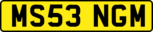 MS53NGM