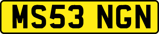 MS53NGN