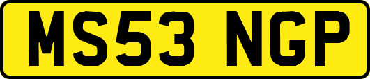 MS53NGP