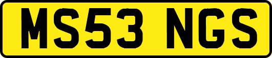 MS53NGS