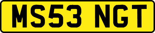 MS53NGT