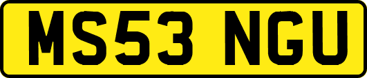 MS53NGU