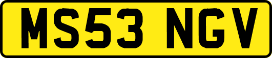MS53NGV