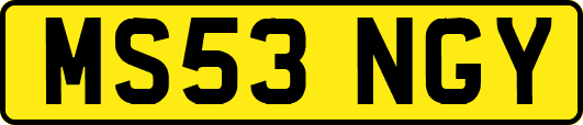 MS53NGY