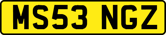 MS53NGZ