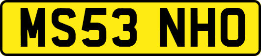 MS53NHO