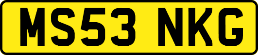 MS53NKG