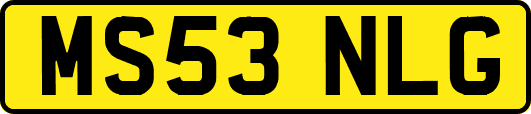 MS53NLG