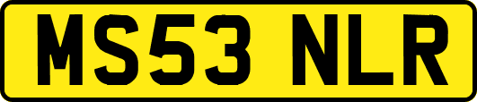 MS53NLR