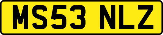 MS53NLZ