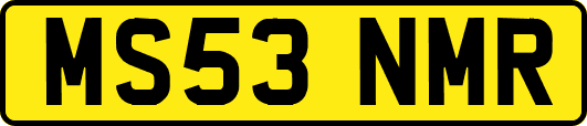 MS53NMR