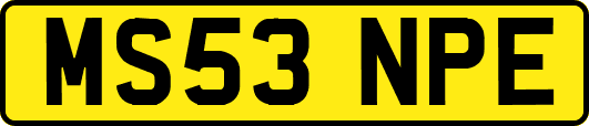 MS53NPE