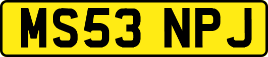 MS53NPJ