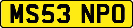 MS53NPO