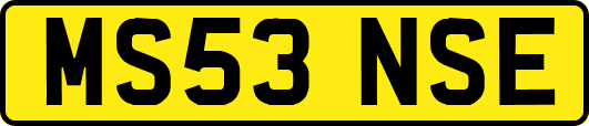 MS53NSE