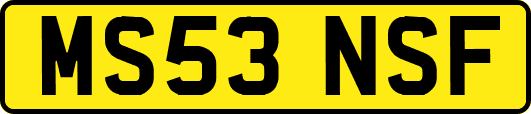 MS53NSF