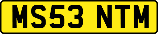 MS53NTM