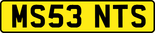 MS53NTS