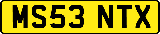 MS53NTX