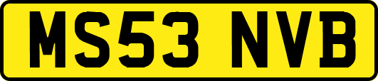 MS53NVB