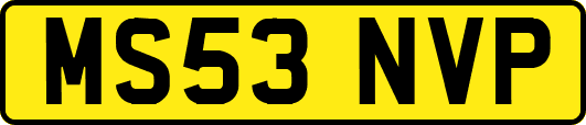 MS53NVP