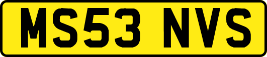MS53NVS