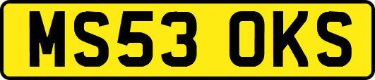MS53OKS