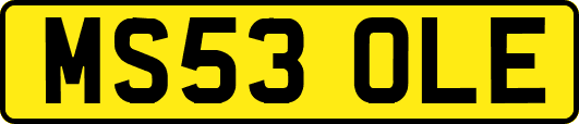 MS53OLE
